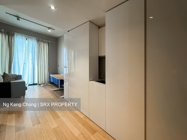 Skysuites@Anson (D2), Apartment #558185431